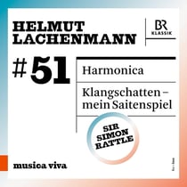 Harmonica & Klangschatten