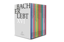 Bach Erlebt XVI