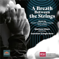 A Breath between the strings