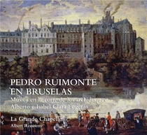 Pedro ruimonte en bruselas