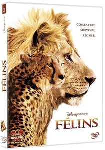 Félins