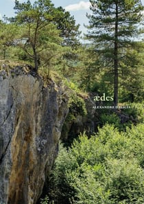 Aedes