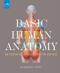 Basic human anatomy : an essential visual guide for artists