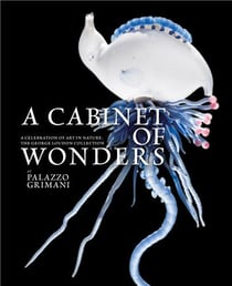 A cabinet of wonders : A celebration of art in nature at the Palazzo Grimani, Venice