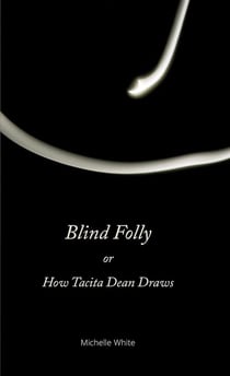 Blind folly or how tacita dean draws