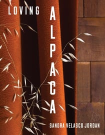 Loving Alpaca