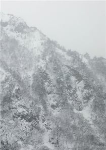 Keiko Sasaoka : Presence