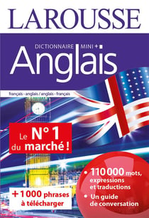 Dictionnaire mini plus anglais