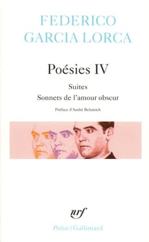 Poésies Tome 4 - suites, sonetos de l'amour obscur