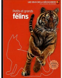 Petits Et Grands Felins