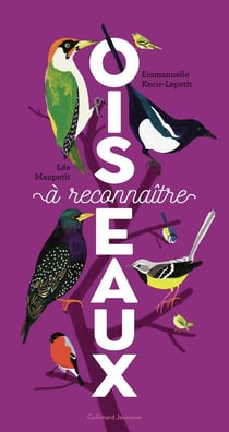 Oiseaux