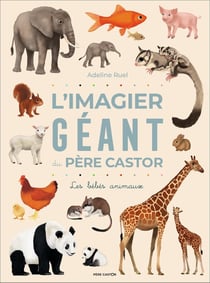 L'imagier géant du Père Castor