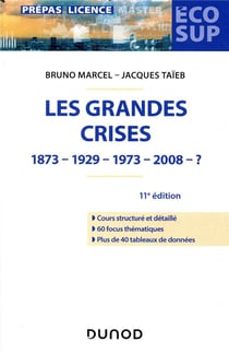 Les grandes crises - 11e éd. - 1873-1929-1973-2008- ?