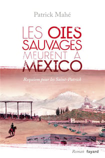 Les oies sauvages meurent à Mexico