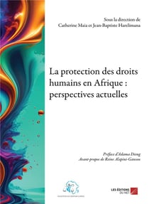 La protection des droits humains en Afrique : Perspectives actuelles