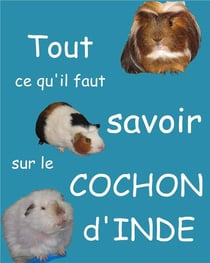Tout ce qu'il faut savoir sur le cochon d'inde