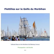 Flottilles sur le golfe du morbihan - sailboats floats on the morbihan gulf