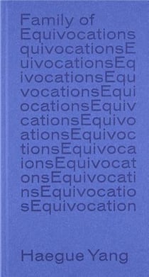 Haegue Yang - family of equivocations