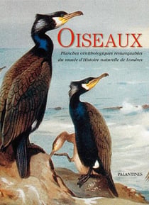 Oiseaux - planches ornithologiques remarquables du musée d'histoire naturelle de londres
