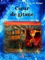 Cœur de gitane - Livre 11
