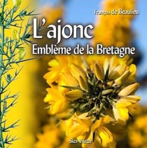 L'ajonc - emblème de la Bretagne