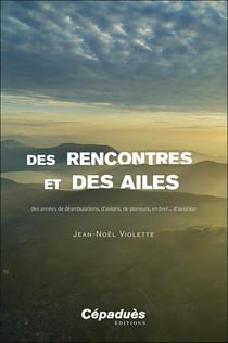 Des rencontres et des ailes : Des années de déambulations, d'avions, de planeurs, en bref... d'aviation