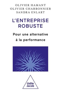 L'entreprise robuste : Pour une alternative à la performance