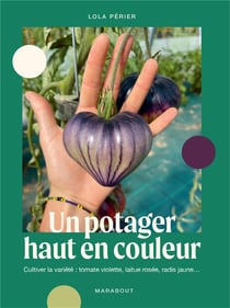 Un potager haut en couleur : Cultiver la variété : tomate violette, laitue rosée, radis jaune...