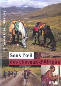 Sous l'oeil des chevaux d'afrique
