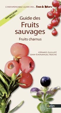 Guide des fruits sauvages comestibles et toxiques - fruits charnus