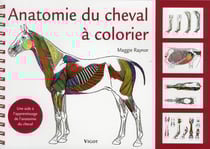 Anatomie du cheval à colorier