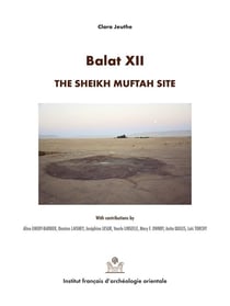 Balat XII - the Sheikh Muftah site at Balat North