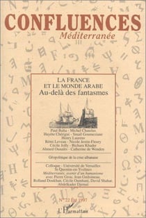 La france et le monde arabe - vol22 - au-dela des fantasmes