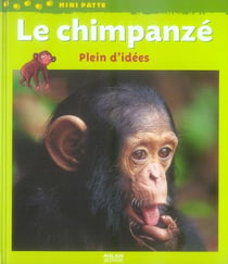 Le chimpanzé, plein d'idées