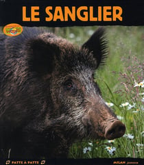 Le sanglier