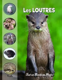 Tout un monde en photos : Les loutres