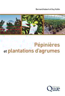 Pépinières et plantations d'agrumes