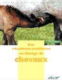 Des situations-problèmes en élevage de chevaux