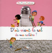 D'où vient le sel de ma salière ?