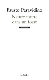 Nature morte dans un fossé