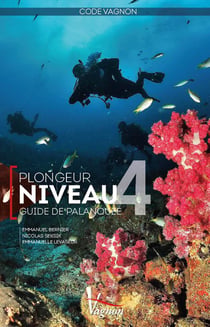 Code Vagnon - plongeur niveau 4 - guide de palanquée