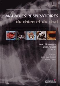 Maladies respiratoires du chat et du chien