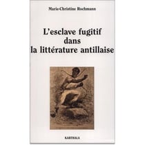 L'esclave fugitif dans la littérature antillaise