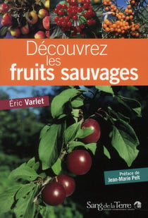 Découvrez les fruits sauvages