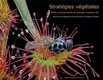 Stratégies végétales - petits arrangements et grandes manoeuvres