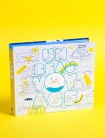 Un beau voyage