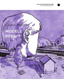 Modele reduit