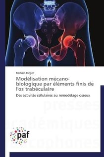 Modélisation mécano-biologique par éléments finis de l'os trabéculaire - des activités cellulaires au remodelage osseux