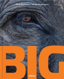 Big a photographic album of the world's largest animals