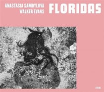 Anastasia samoylova, walker evans : floridas